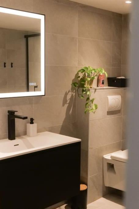 Hypercentre Rue Pietonne Au Calme Apartment Toulouse Ngoại thất bức ảnh